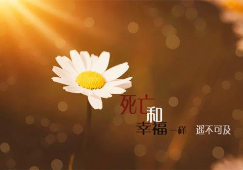 黎烟温西沉（黎烟温西沉）小说全文免费阅读无弹窗_（黎烟温西沉）小说全文免费阅读最新章节列表笔趣阁无弹窗（黎烟温西沉大结局）
