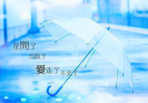 司年林水婳(司年林水婳)全文免费在线阅读_司年林水婳(司年林水婳)全文免费阅读无弹窗笔趣阁