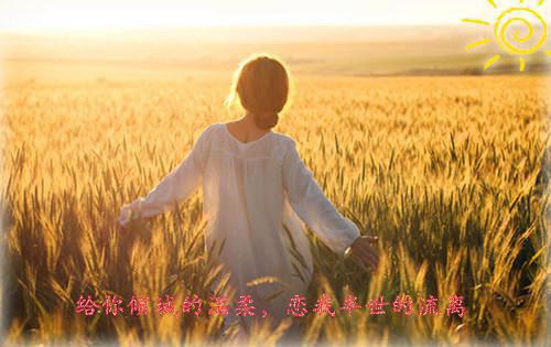 (番外)+(全文)留不住雁阵南渡她：留不住雁阵南渡她：全文+后续+结局+免费下载阅读_(叶慕栀谢司礼)留不住雁阵南渡她：留不住雁阵南渡她：全文+后续+结局最新章节列表_笔趣阁（叶慕栀谢司礼）