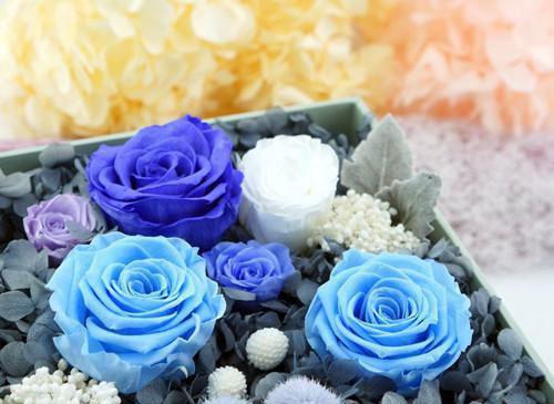 芦夜戌宋宛（宋宛芦夜戌）全文免费阅读无弹窗大结局_（芦夜戌宋宛）最新章节列表