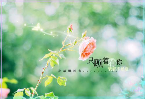 元宝宝（小公主还是襁褓婴，靠心声带母妃宫斗）全文免费阅读无弹窗大结局_元宝宝免费最新章节列表_笔趣阁（小公主还是襁褓婴，靠心声带母妃宫斗）