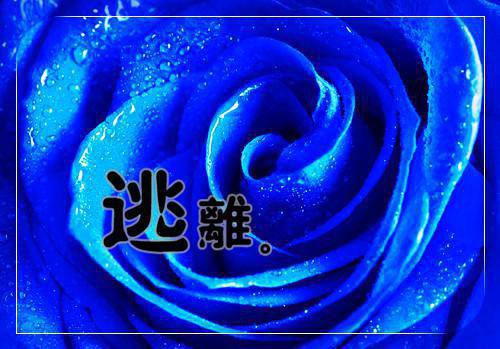 陆齐宣苏晗（陆齐宣苏晗）全文在线阅读无弹窗大结局_（陆齐宣苏晗在线阅读）最新章节列表_笔趣阁