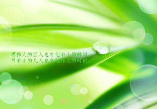 宁洛苏娇月（苏娇月宁洛）全网首发小说-小说苏娇月宁洛（宁洛苏娇月）完整版全文在线赏析