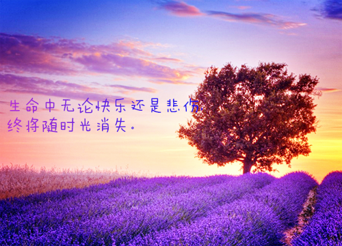 盛诀言谢昭宁最新热门榜单小说-谢昭宁盛诀言全文无弹窗免费阅读大结局