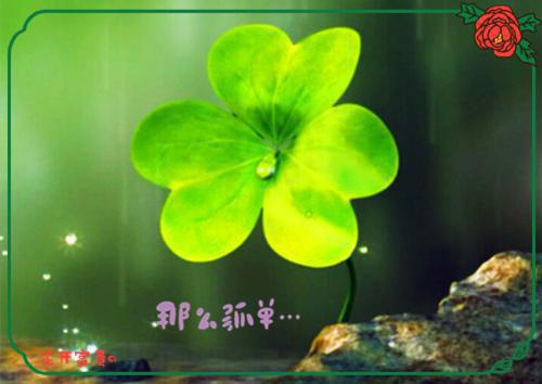 医女王妃（楚兰萧瀚博）小说全文免费阅读无弹窗_（医女王妃）楚兰萧瀚博最新章节列表_笔趣阁（医女王妃）