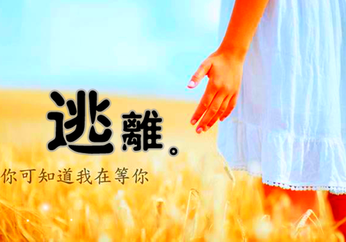 孟疏桐陆斐言全文免费阅读(离别之期相逢之时小说）全文免费孟疏桐陆斐言阅读无弹窗大结局_ 离别之期相逢之时小说孟疏桐陆斐言免费孟疏桐陆斐言阅读最新章节列表_笔趣阁（孟疏桐陆斐言）