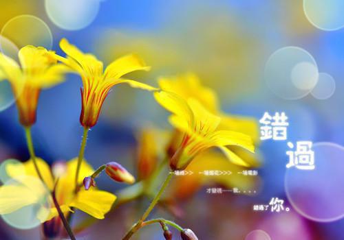 南慕知霍厉行后续（南慕知霍厉行后续）全文免费阅读无弹窗大结局_南慕知霍厉行列表_笔趣阁（南慕知霍厉行后续）