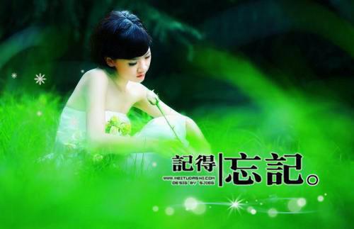 纪暖谢言昭（这世间很好，如果可以下辈子我不想再来了）小说最新章节在线阅读-纪暖谢言昭（这世间很好，如果可以下辈子我不想再来了）已完结全集大结局