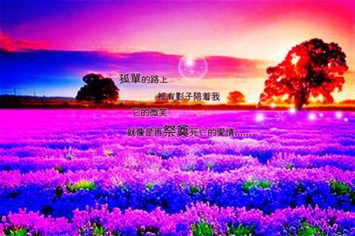 海的归宿（陆时予吴虞）全文免费阅读_（陆时予吴虞无弹窗）海的归宿小说全文阅读-笔趣阁（陆时予吴虞免费阅读）