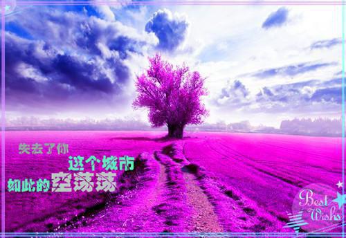 苏晨曦迟轩执（苏晨曦迟轩执）全文免费阅读无弹窗大结局_（苏晨曦迟轩执小说阅读无弹窗）苏晨曦迟轩执小说列表_笔趣阁（苏晨曦迟轩执）