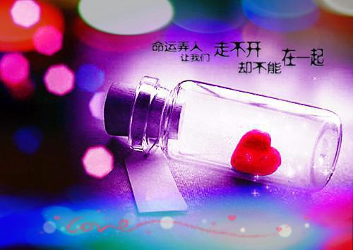宁文慧徐锦年(若有下辈子，就让我们当个陌生人吧)全文免费阅读无弹窗大结局_(若有下辈子，就让我们当个陌生人吧全文大结局)若有下辈子，就让我们当个陌生人吧最新章节列表_笔趣阁（宁文慧徐锦年）