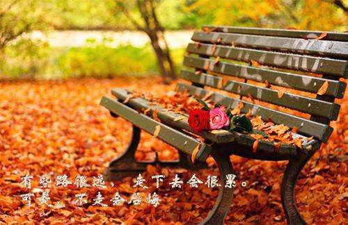 简佳烟简苏淮免费阅读_（简佳烟简苏淮免费阅读无弹窗）简苏淮简佳烟最新章节列表笔趣阁（简佳烟简苏淮）