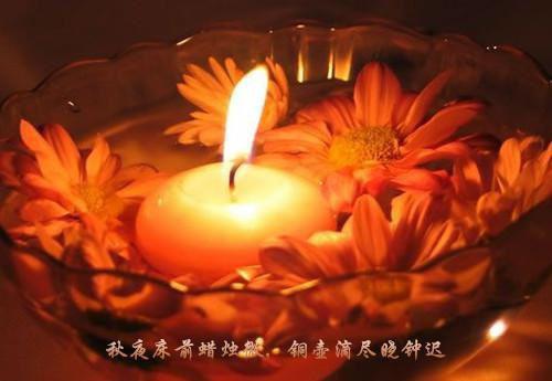 赵琰完颜《绑定系统！我证道成神》全文免费阅读无弹窗大结局_(赵琰完颜)