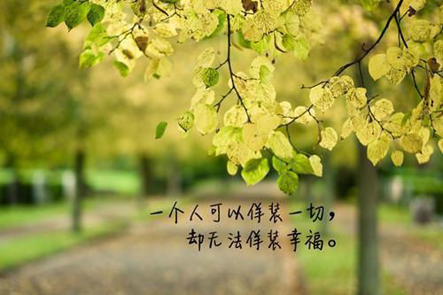 完结版小说盛曜川许清央完结无弹窗第16章阅读
