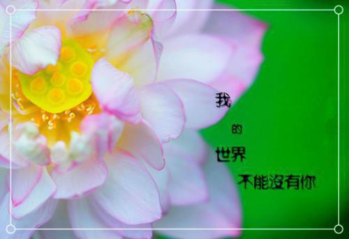 同甘之情便用他的命来抵陆之遥江晚瑜全文免费阅读（同甘之情便用他的命来抵）全文免费陆之遥江晚瑜无弹窗大结局_同甘之情便用他的命来抵陆之遥江晚瑜最新章节列表_笔趣阁（陆之遥江晚瑜）