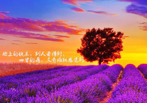 简安冉简斯廷后续（简安冉简斯廷后续）全文免费阅读无弹窗大结局_简安冉简斯廷最新章节列表_笔趣阁（简安冉简斯廷后续）