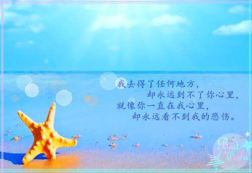秋水与长辞小说全文免费阅读（苏清韵沈怀瑾）全文免费苏清韵沈怀瑾读无弹窗大结局_(苏清韵沈怀瑾)秋水与长辞小说免费苏清韵沈怀瑾读无弹窗最新章节列表_笔趣阁（苏清韵沈怀瑾）