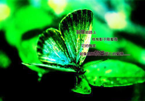 周言清祁安全文免费阅读(篮金照片:蓝雨确定小说)全文免费周言清祁安阅读无弹窗大结局_ 篮金照片:蓝雨确定小说周言清祁安全文免费周言清祁安阅读最新章节列表_笔趣阁（篮金照片:蓝雨确定小说）