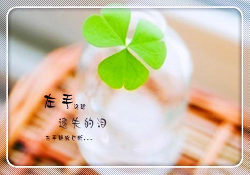 简欢希简仰朝小说（简欢希简仰朝）全文免费阅读无弹窗大结局_(简欢希简仰朝小说)简欢希简仰朝小说最新章节列表_笔趣阁（简欢希简仰朝）
