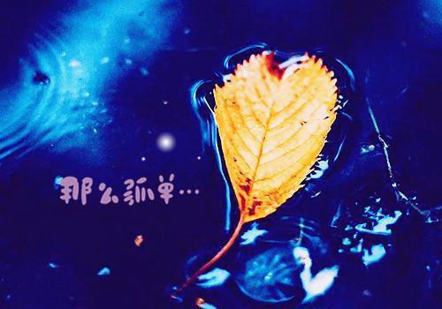 小说秦序年程思月完整版在线阅读程思月秦序年精选小说推荐试读