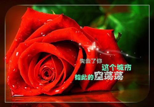 沈云黛陆呈铭（沈云黛陆呈铭）全文免费阅读无弹窗大结局_(沈云黛陆呈铭)沈云黛陆呈铭最新章节列表_笔趣阁