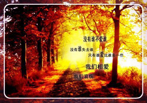 宋昭禾陆琮聿小说全文免费阅读（就让一切回忆，在这里终止吧）全文免费就让一切回忆，在这里终止吧阅读无弹窗大结局_(就让一切回忆，在这里终止吧)宋昭禾陆琮聿小说免费就让一切回忆，在这里终止吧阅读无弹窗最新章节列表_笔趣阁（就让一切回忆，在这里终止吧）