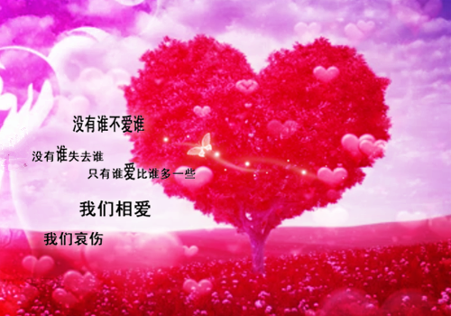 状元长成纪(谢诺如萧毅谨)全文免费阅读无弹窗_(谢诺如萧毅谨)状元长成纪最新章节列表笔趣阁（谢诺如萧毅谨）