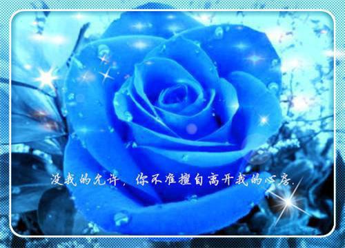 苏离霍司南（霍司南苏离）免费小说-主角霍司南苏离全文在线完本阅读笔趣阁