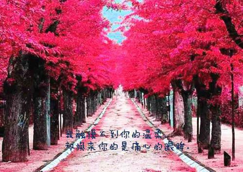 三国强弩：开局何太后喝醉了张杨主角是三国强弩：开局何太后喝醉了张杨全文免费阅读无弹窗-三国强弩：开局何太后喝醉了张杨最新章节列表-笔趣阁