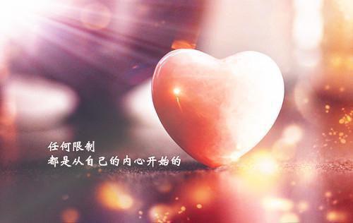 小说《雾色难渡钟情:邵辰段薇然小说》全文阅读无广告-邵辰段薇然全文在线赏析
