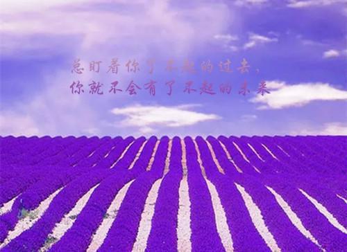 方家云谢翊（少爷身份互换后，被猛A宠翻了）全文免费阅读_（少爷身份互换后，被猛A宠翻了）方家云谢翊最新章节小说免费阅读_笔趣阁