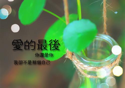 末日自救（小云林秋王二）全文免费阅读无弹窗_（末日自救）小云林秋王二最新章节列表_笔趣阁（末日自救）