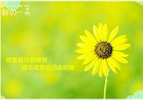 软胭香（禾草魏泽）全文免费阅读无弹窗大结局_（禾草魏泽）的小说（软胭香）最新章节列表