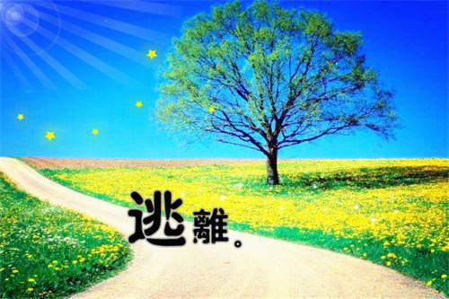 云青岚穆济生完结（穆济生云青岚）全文免费阅读无弹窗大结局_穆济生云青岚完结最新章节列表_笔趣阁（穆济生云青岚）