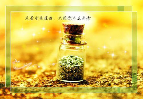 顾时允温知羽小说叫什么名字（温知羽霍司砚）全文免费阅读_（顾时允温知羽小说叫什么名字）最新章节列表笔趣阁（温知羽霍司砚）