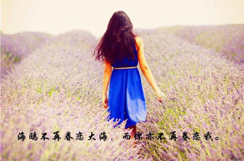 沈从安叶清清何若曦小说全文免费阅读（沈从安叶清清何若曦）全文免费阅读无弹窗_沈从安叶清清何若曦小说全文免费阅读_笔趣阁（沈从安叶清清何若曦）