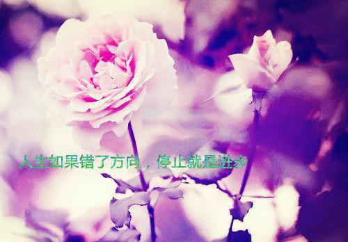 ：启运剧家的《破》打玩命本重匿名完结版全章节阅读