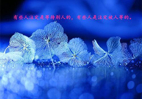 换脸人生热门小说黎蕾萧辰最新章节免费阅读-完结版全文黎蕾萧辰小说在线阅读