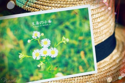 夏天司马兰(80年代的风的小说大夏国九皇子夏天)全文免费阅读无弹窗大结局_ (80年代的风的小说大夏国九皇子夏天)夏天司马兰免费阅读无弹窗最新章节列表_笔趣阁（夏天司马兰）