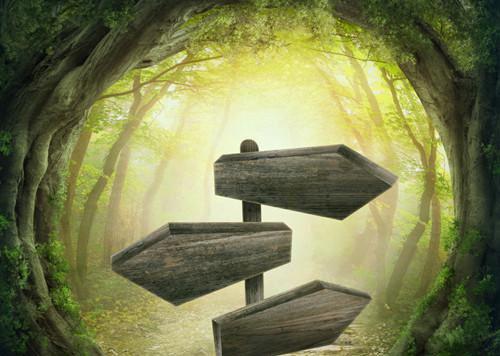 江弄月傅宴浔（江弄月傅宴浔）最新免费小说（江弄月傅宴浔）全文大结局-江弄月傅宴浔今日已更新最新章节