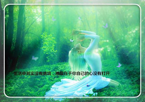 叶菀秋战枭小说（叶菀秋战枭）全文免费阅读无弹窗大结局_叶菀秋战枭小说最新章节列表_笔趣阁（叶菀秋战枭）