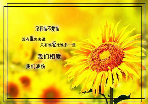 盛仙仙裴霖尘(裴霖尘盛仙仙)全文在线裴霖尘盛仙仙读无弹窗大结局_(盛仙仙裴霖尘裴霖尘盛仙仙)盛仙仙裴霖尘在线裴霖尘盛仙仙读无弹窗最新章节列表_笔趣阁(裴霖尘盛仙仙)