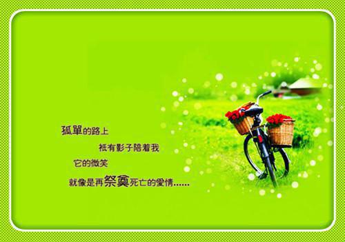 林期期（从此鲜花赠自己）免费全文阅读小说_（林期期）从此鲜花赠自己最新章节列表
