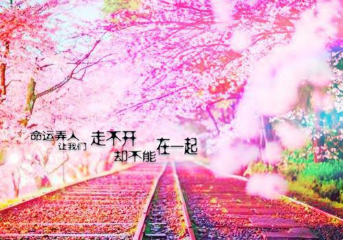 林姿季煜南（季煜南林姿）全文免费阅读无弹窗大结局_林姿季煜南免费阅读_笔趣阁（林姿季煜南）