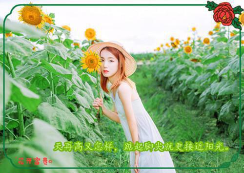 王妃胡了(司北战姜黎)全文免费阅读-王妃胡了小说免费阅读最新章节列表笔趣阁（司北战姜黎）