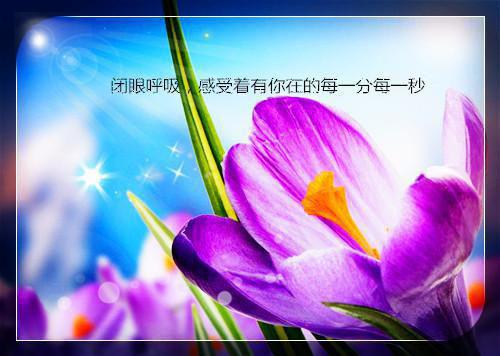 霍司砚温知羽小说（霍司砚温知羽）全文免费阅读无弹窗大结局_霍司砚温知羽全文免费阅读小说最新章节列表_笔趣阁（霍司砚温知羽）
