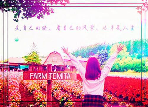 顾景行沈若思小说（沈若思顾景行）全文免费阅读无弹窗_（沈若思顾景行）顾景行沈若思最新章节列表