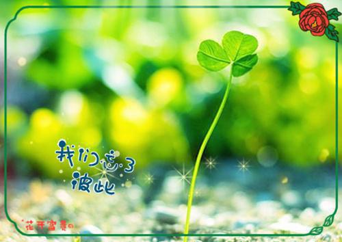 贺祁晏沈姝梨精彩章节-贺祁晏沈姝梨完整版阅读