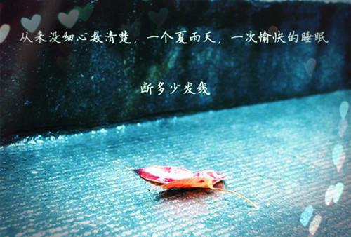 陈河图唐莹主角小说在线阅读（陈河图唐莹）小说全文免费_陈河图唐莹无弹窗（陈河图唐莹）最新章节目录笔趣阁（陈河图唐莹）