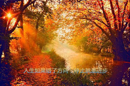 莲心莲蕊打脸偷我情劫的并蒂白莲小说完结版在线阅读